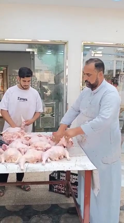 لحم عجل • المسيب • حي المعلمين