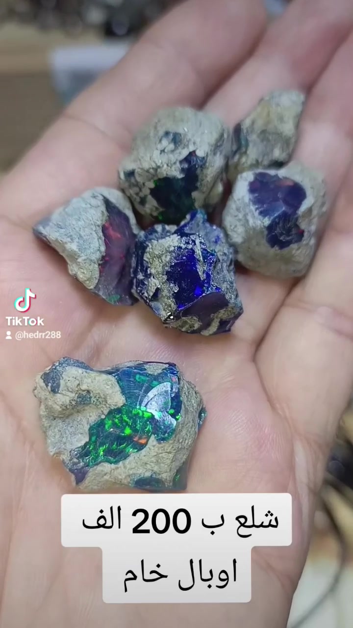 شلع • بغداد • للبيع