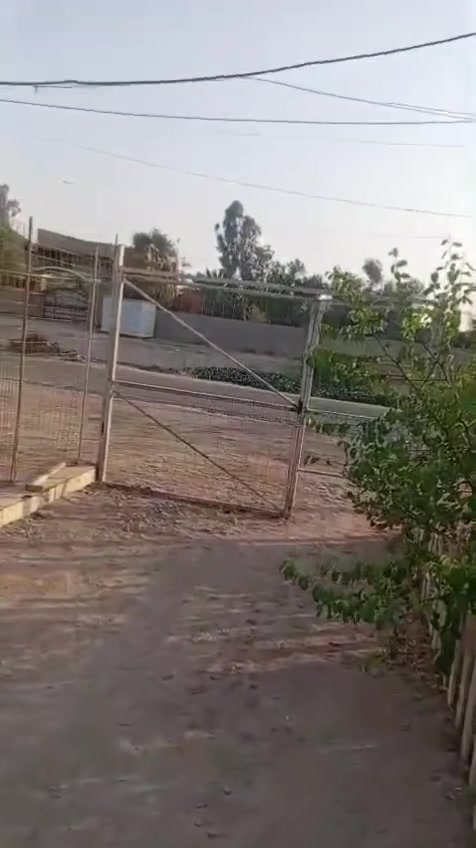 دار زراعي • ٣٠٠م • جسر الهولندي