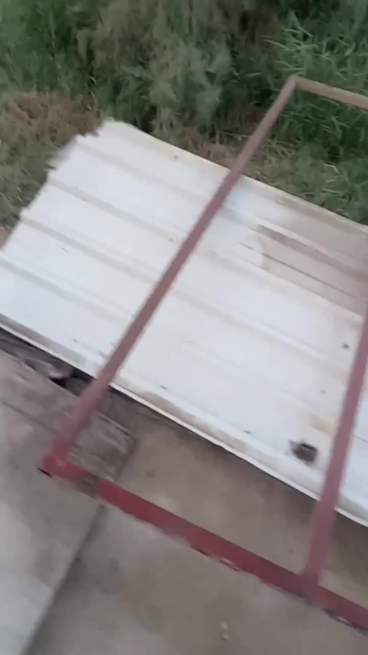 شيلمان • زوايه • بالفيديو