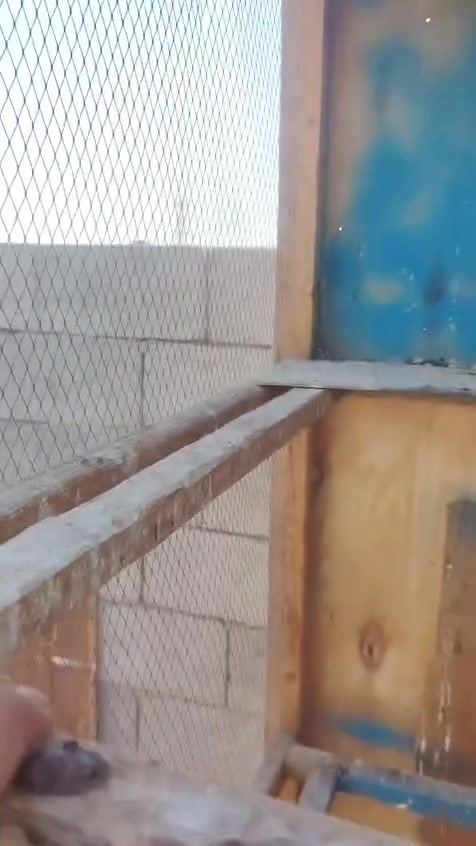 قفص البيع سعر خاص
