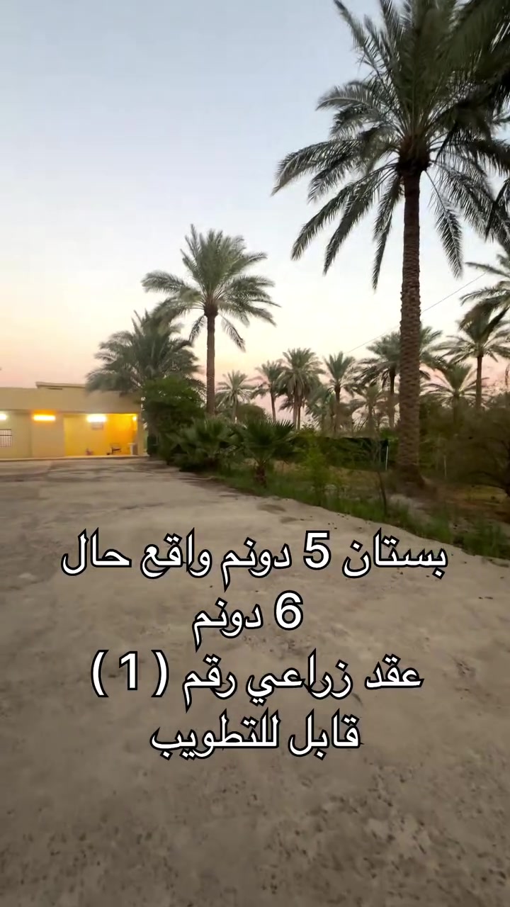 أرض • ٦ • بدون تفاصيل