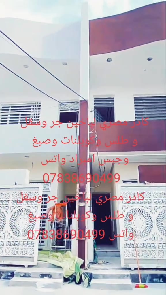 كادر مصري • صبغ • جص