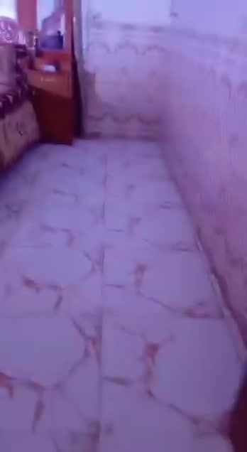 السلام وعليكم
بيت للبيع زراعي سند ٢٥ مساحه 225 
يتكون :
غرفتين نوم 
صاله + استقبال 
مطبخ 
+ باقي الخدمات
خدمات المنطقه ماء كهرباء مدارس 
موقع البيت / جسر ديالى الجديد قريه الزهراء نقطه داله جامع المصطفى ومدرسه النذريات  سعر 70 وبيه مجال 
الاستفسار خاص على الرقم *********** 
🫵🏻🫵🏻

