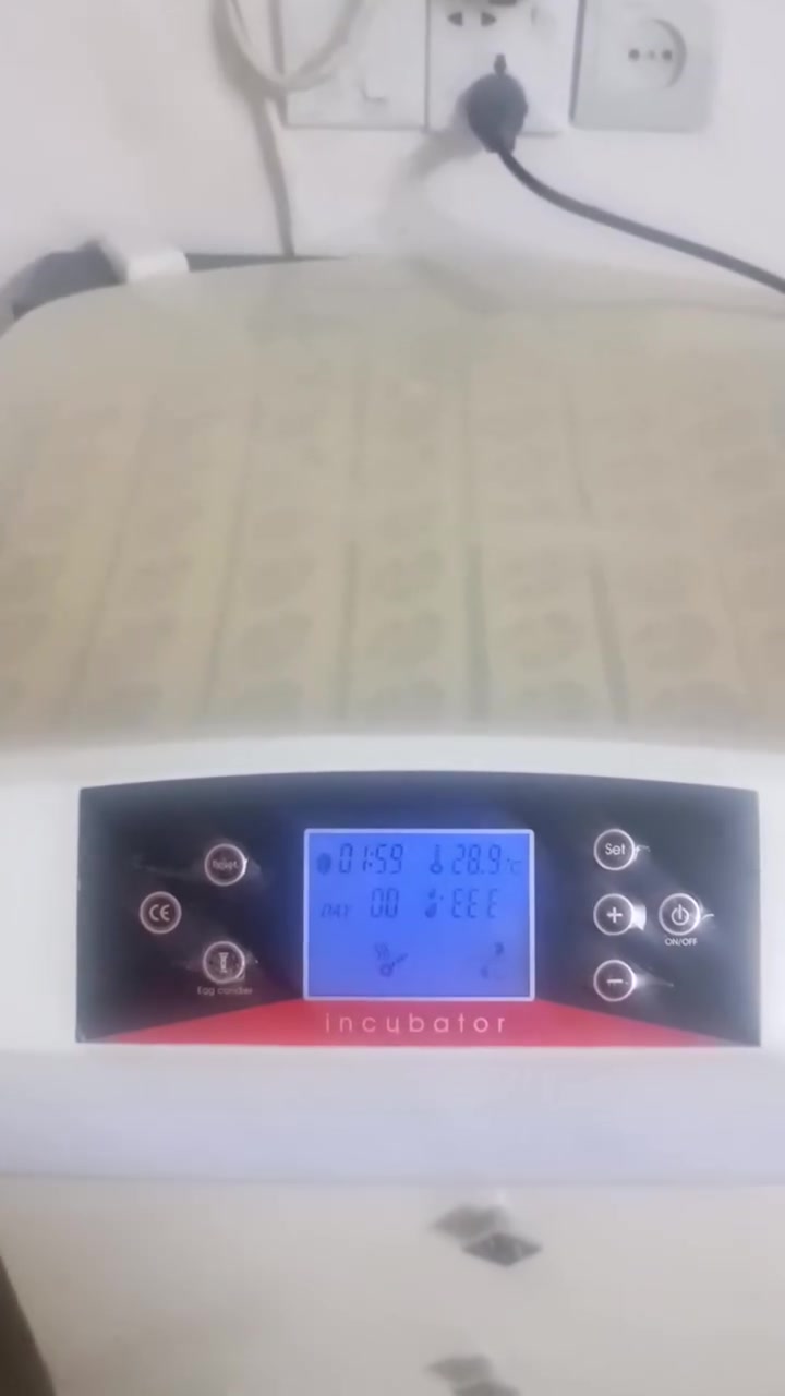 فقاسة • ١٢ بيضة • ٥٦ بيضة