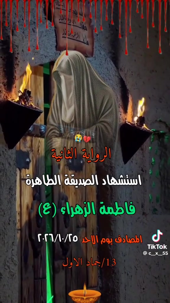حملة الحسن العسكري • زيارة النجف الأشرف • ذكرى استشهاد الزهراء