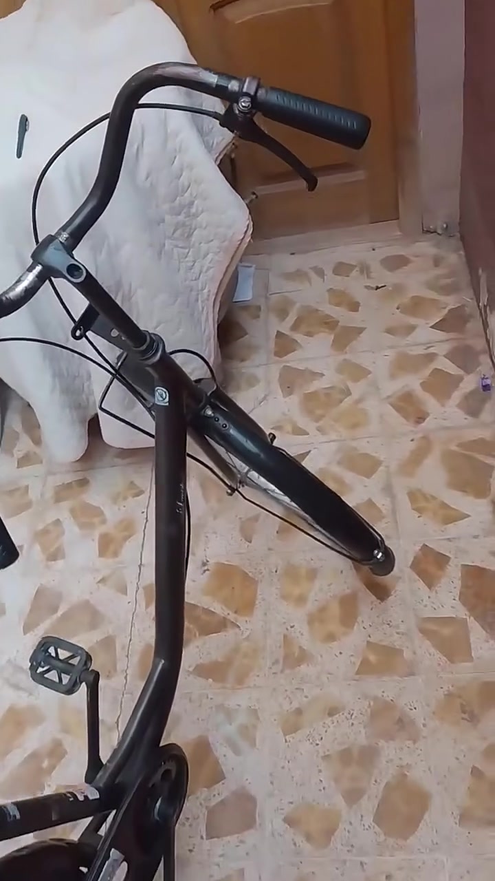 باسكل ٢٦ • محتاج صيانة
