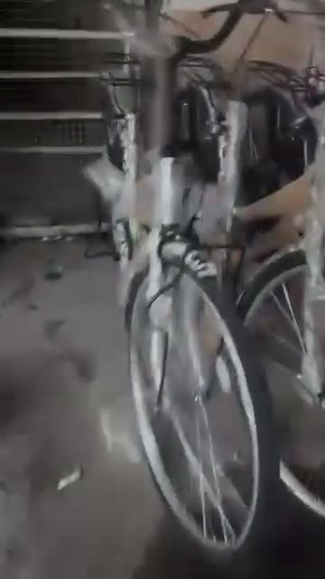 باسكلات • ٢٠٢١ • سوك المسكف