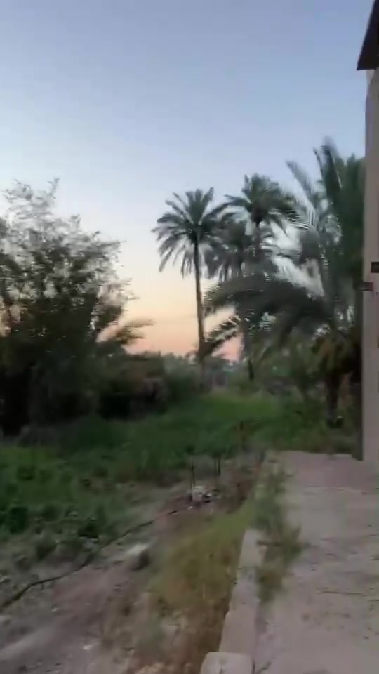 للبيع دار سكن مع هيكل كامل على مساحة دونم طابو زراعي تجاري على الشارع العام بين النيل والحله الاتصال على الارقام التاليه
***********
***********
ابو اوراس الربيعي
