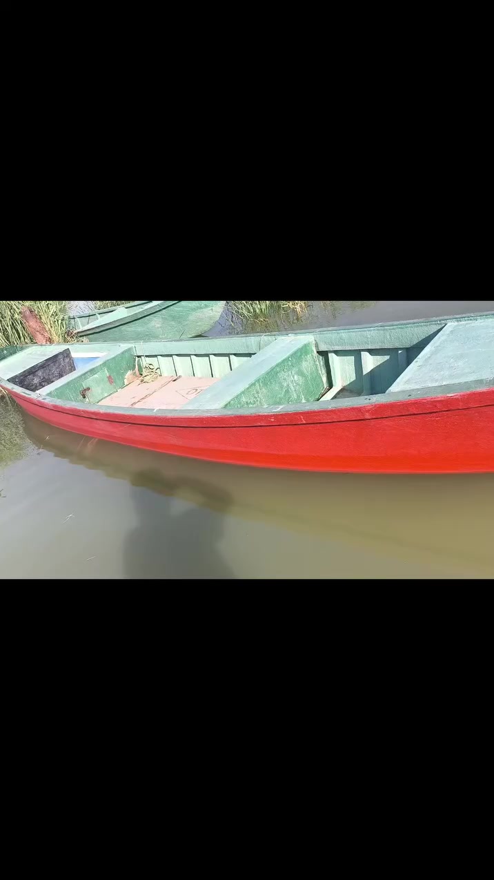 بلم • ١٢ ضراع • وارد