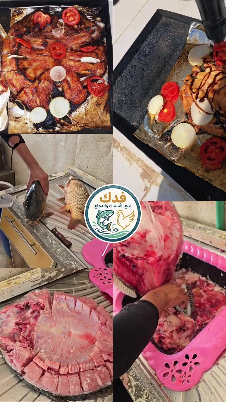 أسماك ودجاج طازج يومياً 💯
تنظيف، تقطيع، وتجهيز حسب الطلب 🔪
📍 السماوة - الجربوعية الأولى
📞 للحجز والتوصيل: ***********
💬 الواتساب
