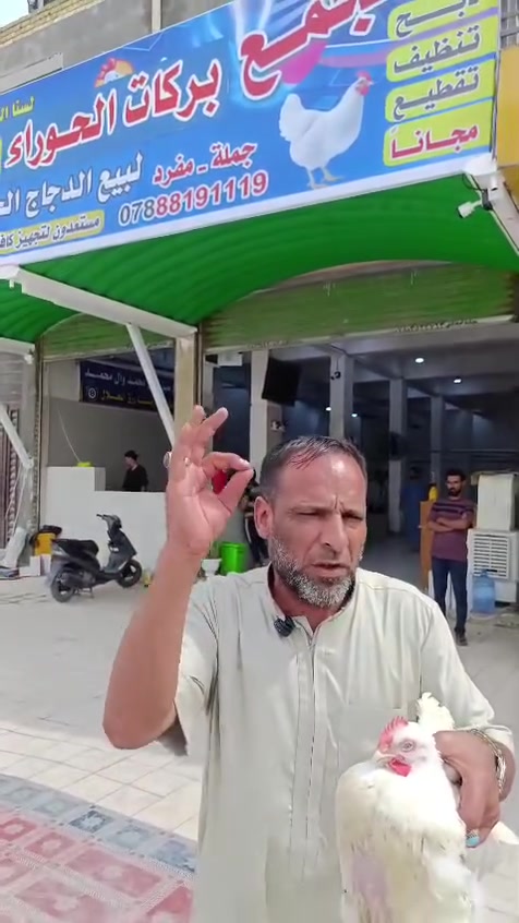 دجاج • بلاش • مجمع بركات الحوراء