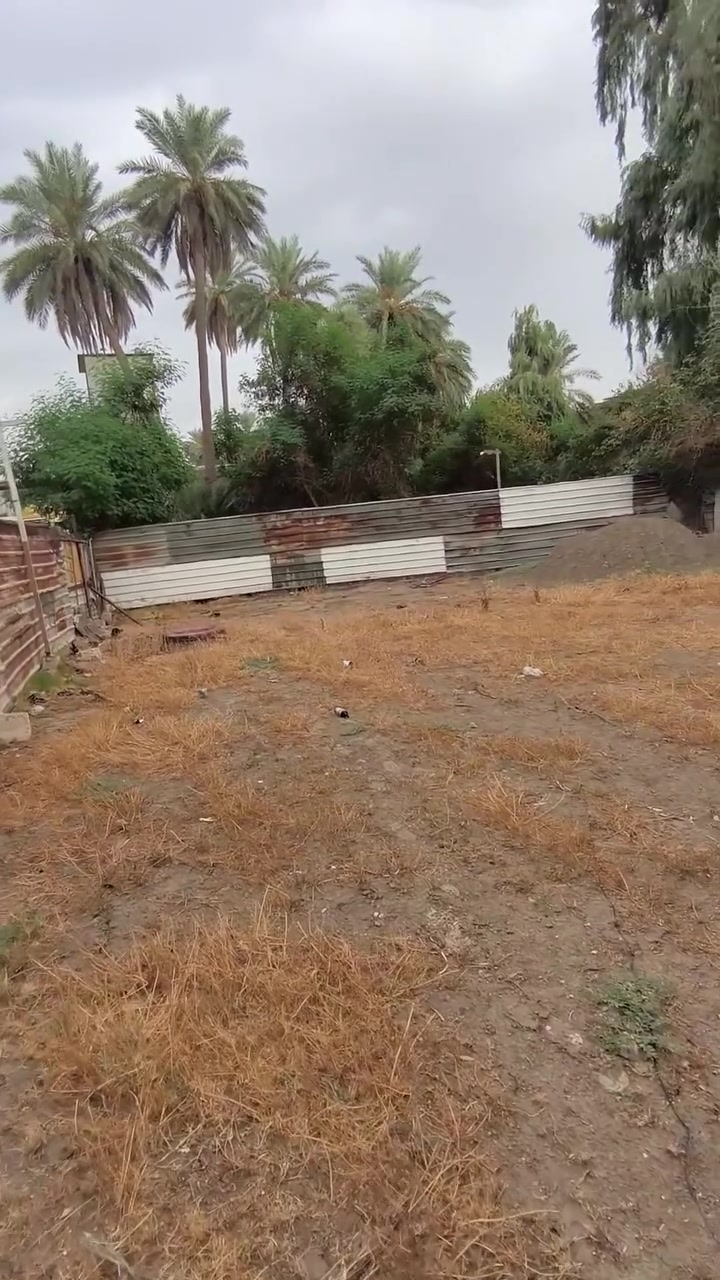 قرب جزيرة بغداد • ٣٠٠م • ملك زراعي