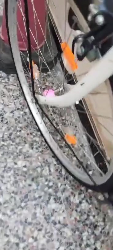 ايدز حاويه باله مديل 20نضافه100كامل غراضه سعره 180بي مجال شراي واتساب ***********

