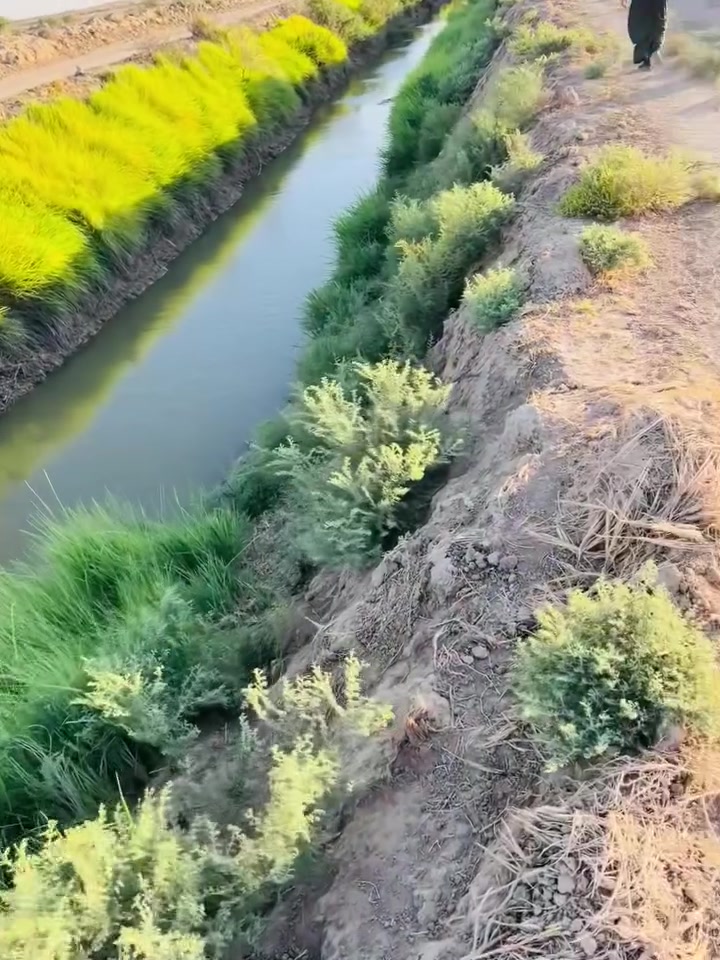 ارض زراعيه للبيع 
المساحه :٥٠دونم 
الموقع على نهر السويب 
رقم الهاتف ***********

