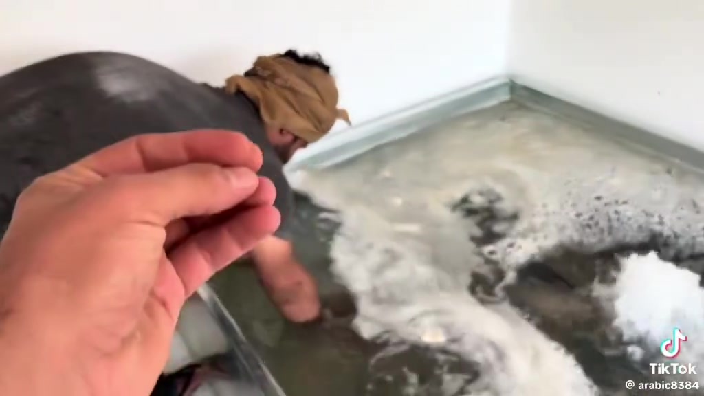 اسماك ابو كيان في كركوك وشوي العمارة العنوان حزيران قرب دجاج سيف أبو المحشي سمك مع شوي والحمضيات سعر 7000 توصيل عامة لكل كركوك 1000 رقم الهاتف ***********
