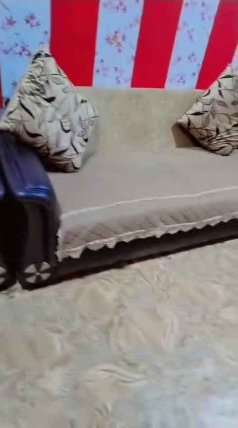 نظيفه • جلد • ٥ قطع