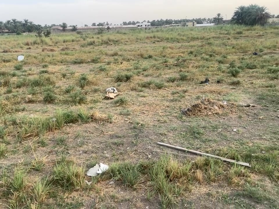 السلام عليكم قطعة ارض 800 متر زراعي كاملة او
3 قطع للبيع طابو زراعي سند 25 مكاتبة واقرار محكمه
مساحة القطعة الواحدة 270 مباشر على التبليط
واجهه 9 نزال 30 السعر 40 مليون للقطعة الواحدة
العنوان المدائن الجعارة شارع معمل الغاز تبعد عن الشارع العام 200 متر الاتصال على *********** وتساب 
الخدمات ماء كهرباء
