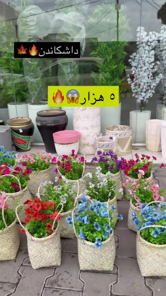 داشکاندن • للبيع