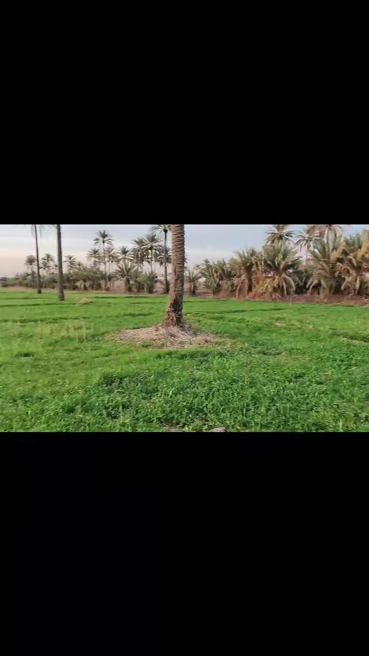 🌾✨#للبيع_أرض_زراعية_ساحرة_في_قلب_كربلاء🌾
🟢 تفاصيل العرض:
📏 المساحة:  دونم، 
📜 نوع الملكية: طابو زراعي (سند 25)
🔄 تحويل الملكية إلى اسم المشتري
📍 📍 الموقع: كربلاء، طويريج، طريق الجدول، 
، منطقةالعيوج، 
طريق، الزوار ، يربط، كربلاءالمقدسة، حله، 
🌟 الاستخدامات المثالية
🏡 سكن مريح
💼 استثمار مربح
🌳 مزرعة خاصة 
🌿 مزرعة ترفيهية 
🌼 مكان للاستراحة والهدوء
ايضا يتوفر لدينا عقارات اخرى في مختلف مناطق، كربلاء المقدسة وايضا في طريق، كربلاء، نجف،و منطقة، شط الله، 
و منطقة العيوج، ومنطقه ام جمل، 
 وقرب ، بنت الحسن(ع)
📞 📞 للاستفسار اكثر الاتصال على 
📱 ***********☎️ابو غانم: واتساب 
@ ***********☎️ابو غانم: واتساب
