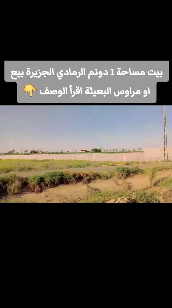 الرمادي البوعيثة • ١ دونم • طابو ملك/زراعي