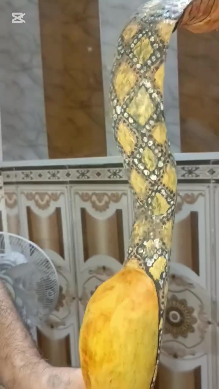 سلام عليكم اخوان هاي عوجيه ام الكوبرا العنوان الحيانيه وهاذ رقمي اتصال وانا خادم ***********خابر واتساب
