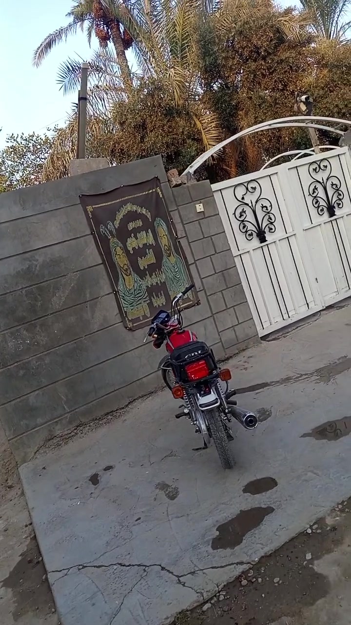 سلام عليكم شباب دراجه نامه شلامجه مكينتها سي جي نامه موديل 2018 تعمير 26 داتيرات وجوابه  جدد وبنز انتس لون احمر اوراق اصولي وبيها ورقه من القاضي جانت محجوزه ويل مبدل اسيامه كلهن جدد السعر ب 625 وبيها مجال مكان حله بكرلي مركز المدينه 
رقم الهاتف:***********
