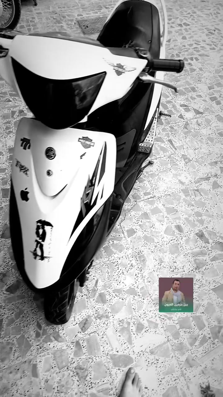 ماكس عدلة • نكرة • كفاله