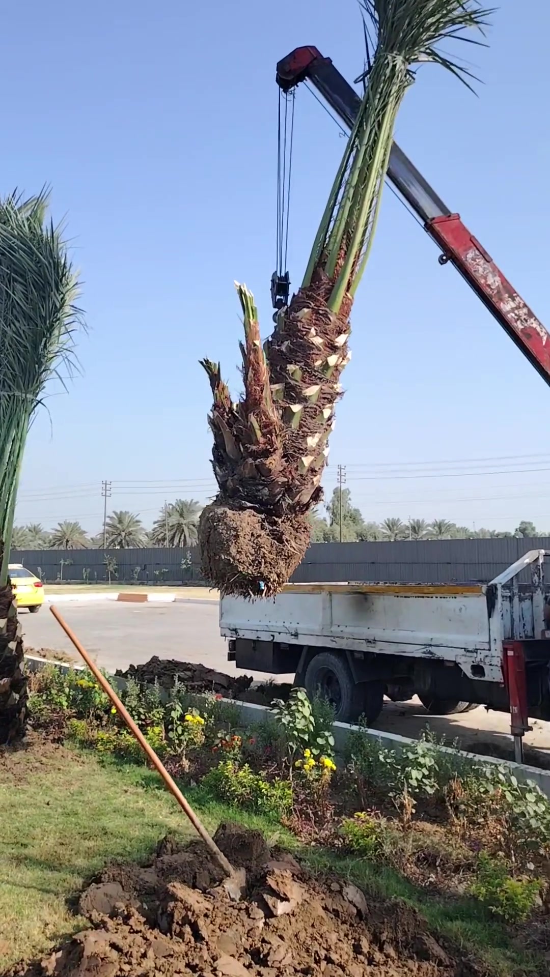 أمايات البرحي • توصيل بغداد • تجهيز