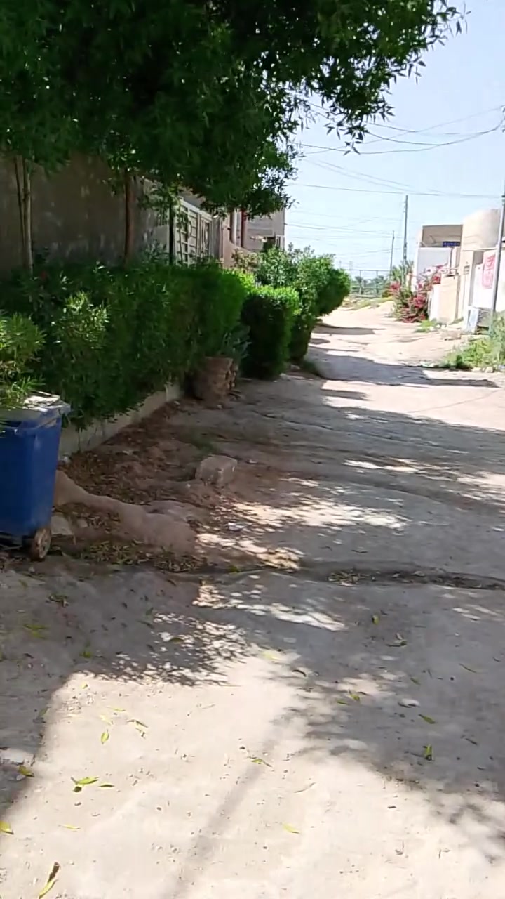 كربلاء • ٢٠ قطعة • سند ٢٥