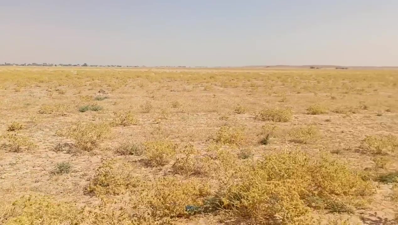 السلام عليكم توجد قطعه ارض للبيع مساحه 4 دونم الموقع عويجيله مال سكن موبعيد ماء كهرباء عنها هاتف ***********
