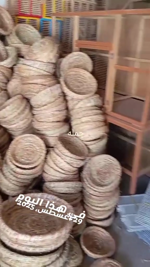 جمله ومفرد طوريج الرجيبه ***********
