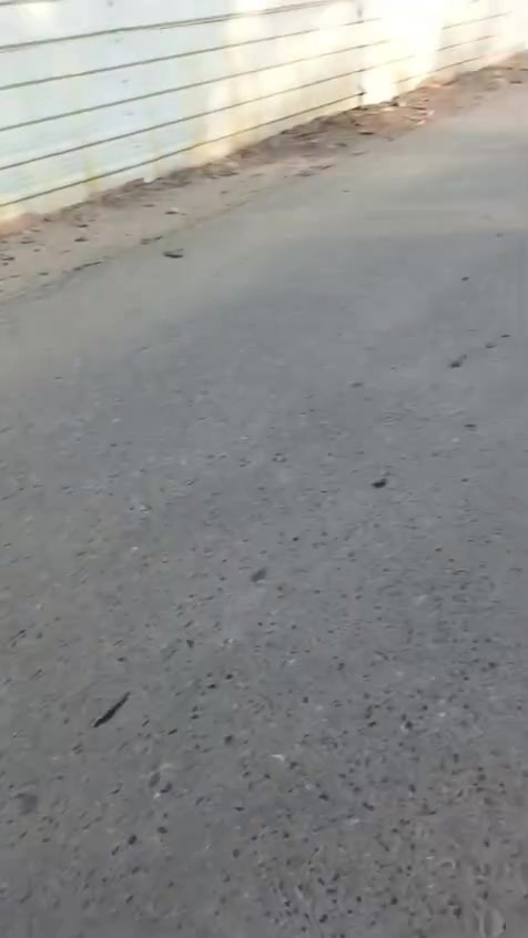 مساء الخير عندي القطعه 8500متر العرض 210متر ونص  النزال360 متر التاجي قرب جسر دوار  زراعي سند 25 وللعلم بي بيت هم والسعر 160 وهذا رقمي اتصل ومنختلف ع سعر ‏‪***********‬‏
