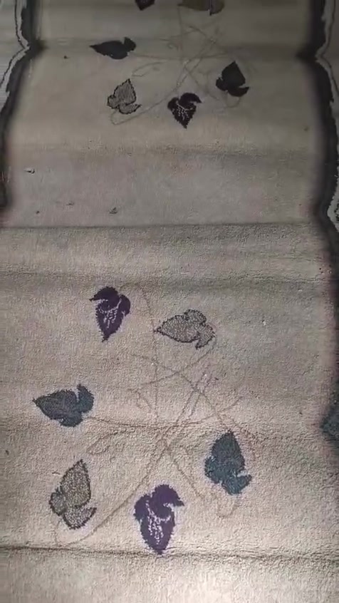 زوليه بيجي حفر اصلي وثكيله اي ظرر مابيهه وموكيت ومده اي ظرر مابيهن بس غسله كلهن حجم جبير اريدهن كلهن ب30 مكاني بغداد حي البتول الزراعي
