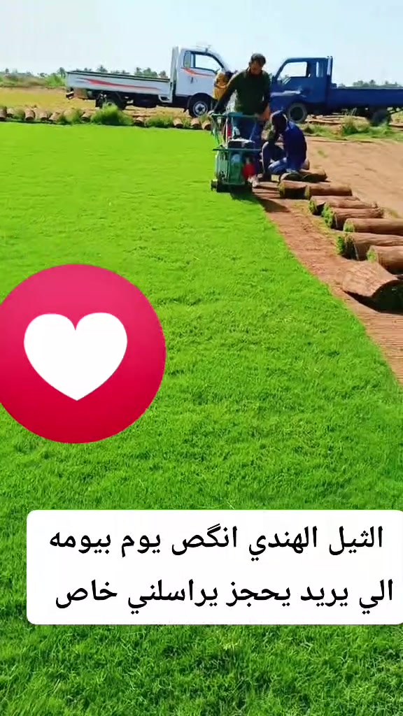 لا توجد تفاصيل
