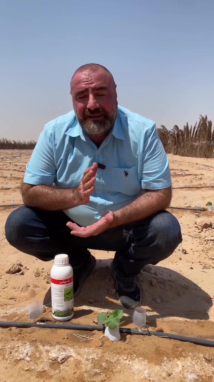 الملوحة في الزراعة الصحراوية 
من اهم المشاكل التي يعاني منها مزارعي المناطق الصحرواية هي ملوحة المياه والتربة  والتي تسبب اضرار كبيرة وضعف النمو
للتغلب على هذه المشكلة وتقليل الاضرار ممكن استخدام السماد العضوي المتحلل والمتخمر ( الدمن )
وكذلك الاسمدة التي تحتوي على الكالسيوم 
وكذلك الاسمدة الحامضية مثل اليوريا فوسفيت والماب 
 للمزيد من المعلومات والاستفسار 
شركة الماس الاصفر
الفرع الاول / مكتب النور الزراعي
بغداد - اليوسفية - علوة الرمل 
الفرع الثاني / المركز العلمي للتقانات الزراعية الحديثة
*********** 
 #ملوحة  #املاح #تربة  #ابار #صحراوية #مزرعة #طماطة #خيار #كربلاء #نجف #حيدربة  #خان_النص  #مشعاب
