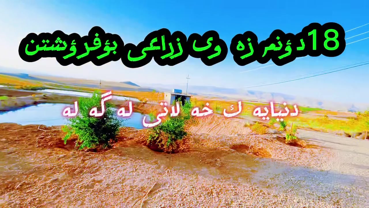 بمساحة 18 دونماً – فرصة استثمارية ممتازة
أرض زراعية متكاملة بمساحة 18 دونماً تعادل "عالم من الهدايا" والخدمات الجاهزة، حيث يتم احتساب سعر الأرض فقط:
 المساحة والطابو: 18 دونماً زراعياً مع إجازة رسمية (طابو زراعي).
 المشاريع الجاهزة: 8 أحواض تربية أسماك متكاملة.
 الخدمات والطاقة: كهرباء منظومة شمسية (سولار)، 2 مولدة ديزل، مع توفر المصدر المائي والكهربائي الخاص.
 السكن: منزل كبير جداً وبأعلى المواصفات (فول مواصفات).
 الاستخدامات المثالية: مناسبة جداً لمشاريع تربية الأسماك، حقول الأبقار (گاوداري)، الزراعة العامة، وبساتين الفستق.
للتواصل والاستفسار:
*********** | ***********
بۆ فرۆشتن: ١٨ دۆنم زەوی زراعی – دەرفەتێکی زێڕین و بێوێنە
زەوییەکی زراعی بەپێز و بێكەمبوو بە ڕووبەری ١٨ دۆنم، دنیایەک دیاری و خزمەتگوزاری ئامادەکراوی لەگەڵدایە و تەنها پارەی زەوییەکەی لێوەردەگیرێت:
 ڕووبەر و بەڵگەنامە: ١٨ دۆنم زەوی زراعی بە تاپۆ و ئیجازەی فەرمی.
 پرۆژەی ئامادەکراو: ٨ حەوزی گەورەی ماسی.
 ئاو و کارەبا: ئاو و کارەبای تایبەت بە خۆی، کارەبای سۆلار (خۆر)، لەگەڵ ٢ مولیدەی گازی بەهێز.
 شوێنی نیشتەجێبوون: خانوویەکی زۆر گەورە و فول مواسەفات.
 گونجاو بۆ: بەخێوکردنی ماسی، گاوداری، کشتوکاڵی گشتی و ڕواندنی دار فستق.
بۆ پەیوەندی***********
***********
