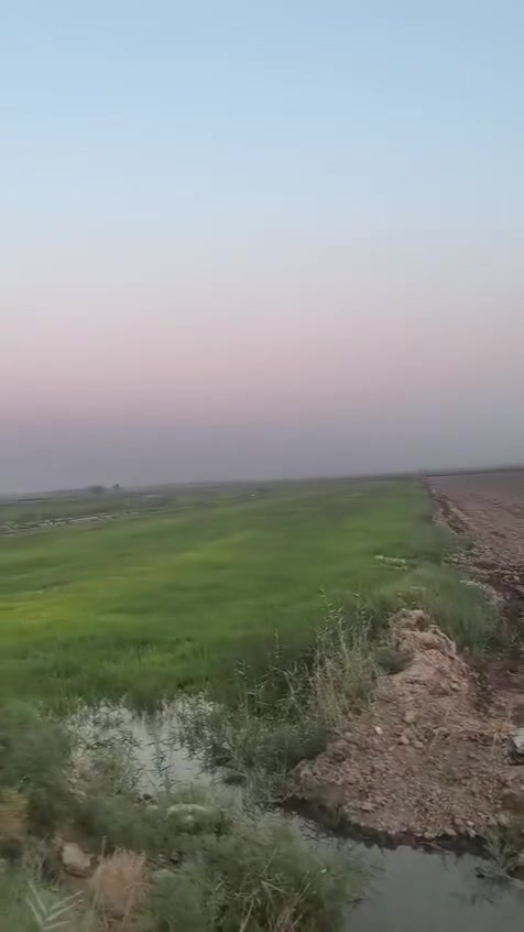 منطقة ال عيسى • ٦دوانم • طابو زراعي