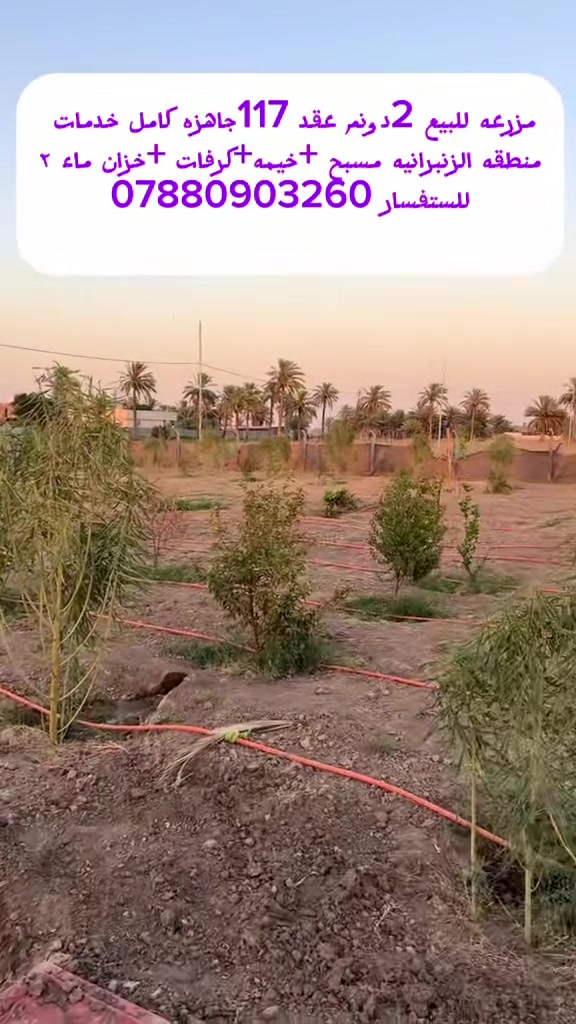سعر مناسب
