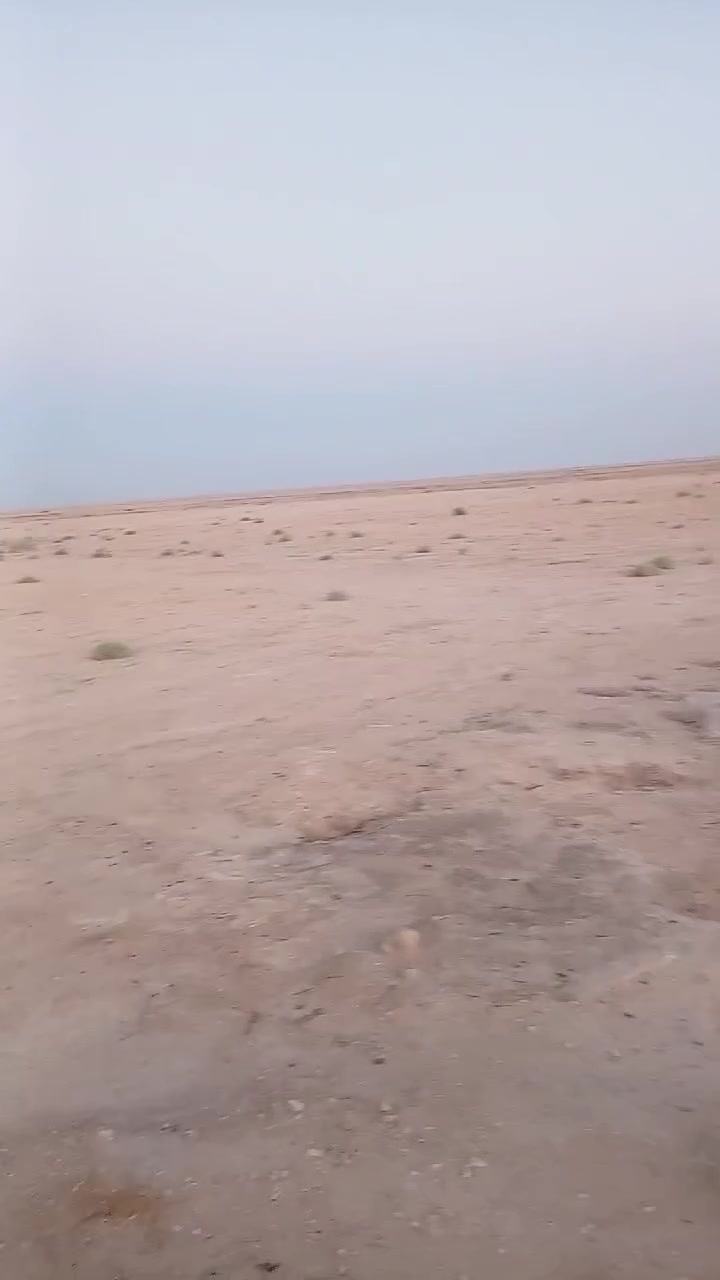 مزرعة • ١٥٠دونم • كربلاء عين التمر