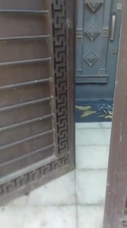 شهداء السيدية • ١٠٠م • واجهة ٥م