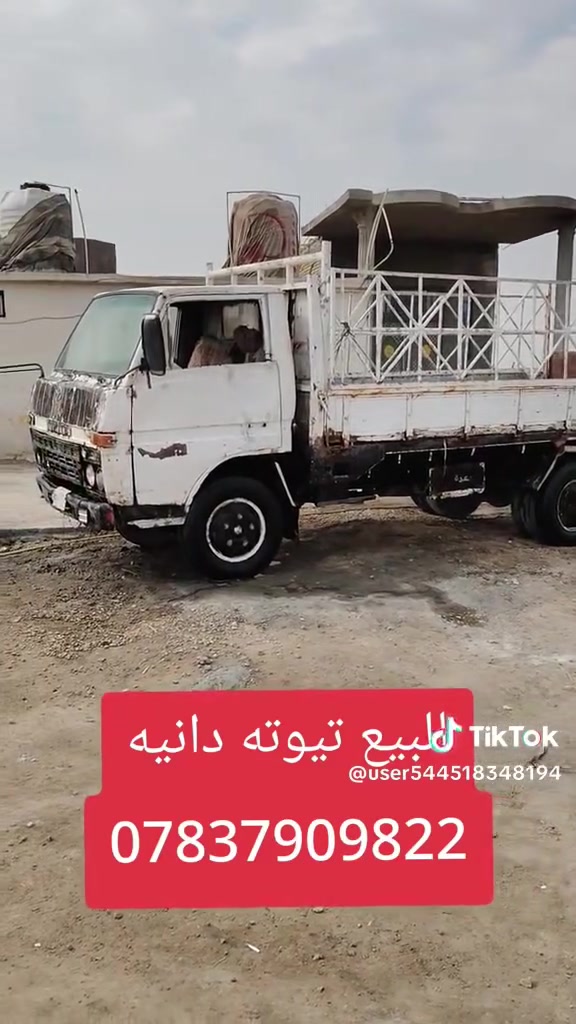 دانيه • تيوته • ١٩٨٤