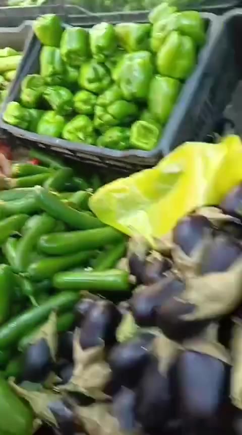 علوه كامله للبيع شغاله فول السبب انو تعبت من كعدت 3 بليل وعلوه ومسواك
الغراض الموجود بيها 
1ميزان كاشير سعره 500 الف 
2 عارضات عاموديه عدد 2
سبلت 2 طن انفيرتر ميديا 
منظم امبيريه 
ميوزه عدد 6 +ميز كاشير 
مري على كل الميوزه 
وارد المحل يوميه من 750 إلى 1200 ورزق على الله 
حركه قويه معاميل خير من الله ومع العلم ابيع غالي مثلا الشي الاجيبه من العلوه 1500 بايعه 2500
معاميل بيه هواي 
اشتراك ب تطبيق طلباتي علوه السيد 
معاميل توصيل واتس اب 
يعني بايعلك محل كامل مكمل تجي تسوك وتكعد بي بس 
عنوان حريه قرب مخرج ساحه عدن يعني الحله مال موضفين ودخول ناس كله من يمك تجي وهاي حنزل مقاطع فديو على محل 
بنسبه للصبه نرفعت بكتاب من بلديه الشعله
هاذا رقمي رجائا شراي مو كذب يخابرني ويتفق وامسح منشور مثل مصار ب النشر السابق 
***********
