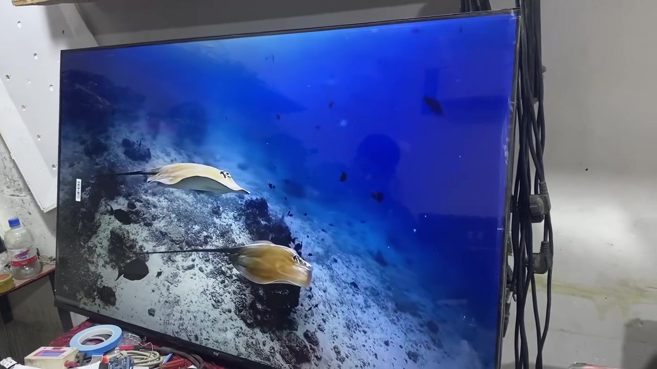 شاشه حجم 55حقيقي دقة 4K2160 تدعم جميع التطبيقات وسعر كلش مناسب 275 ويه توصيل مجانا 👍🏻🔥البصرة الكرمة سوك حي رساله الجديد 
***********
