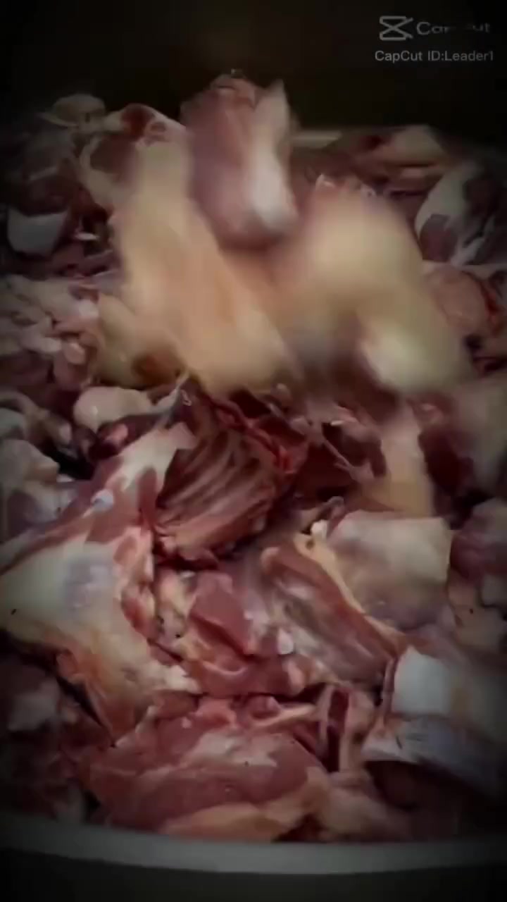 سلام عليكم خادم المواكب الحسينيه الگصاب ذبح وطبخ مجاني في بابل  ***********
