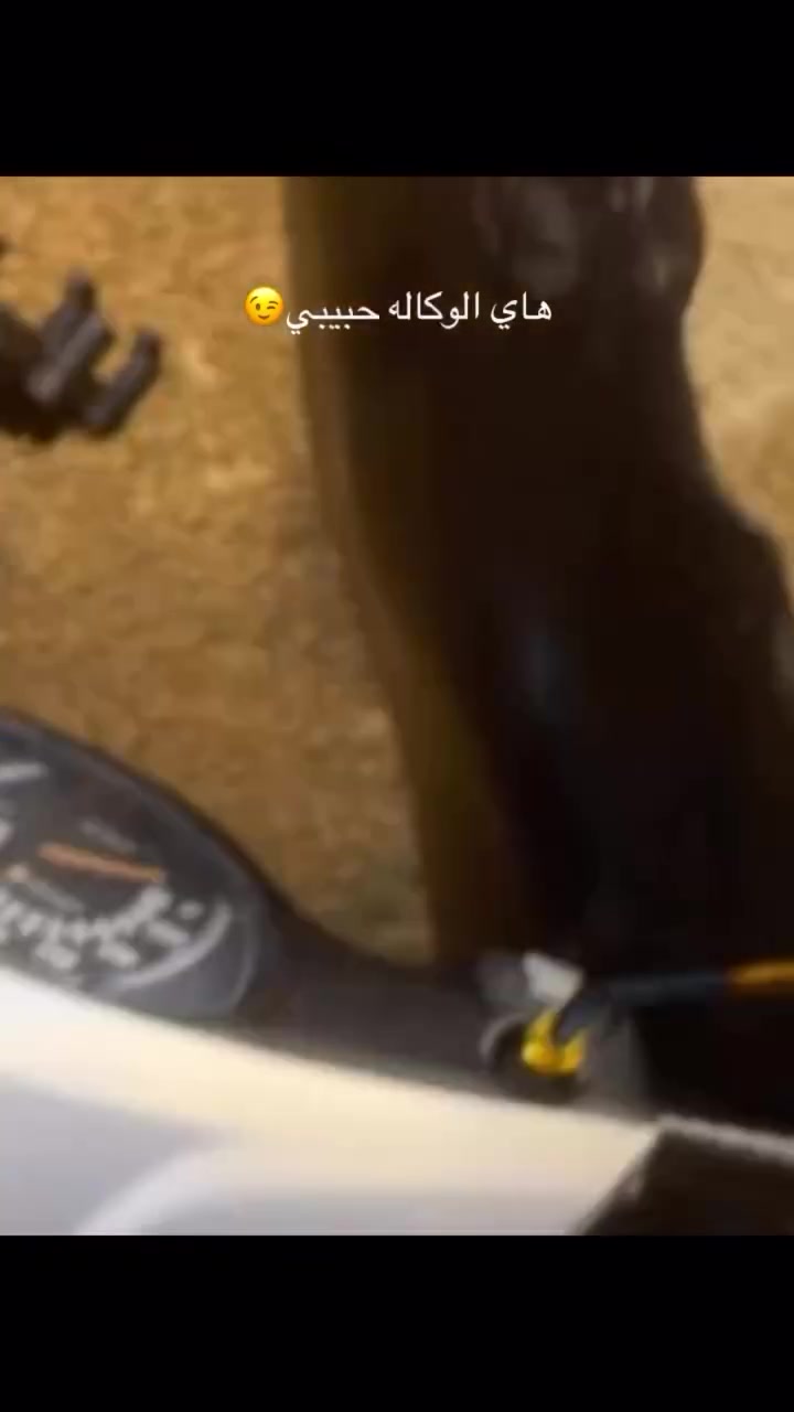 رياضي • كفاله • نقصها سلف