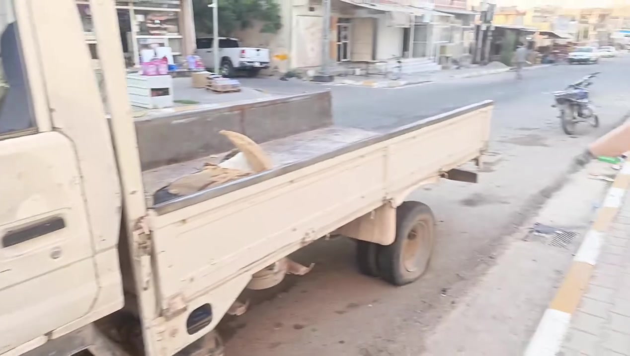 داينه للبيع محرك كايم رايدها ب 15وبيها مجال حك الجيه 
محرك 3000كايم ما تشتغل  رقم ديالى شرط تحويل 
للاستفسار 
***********
