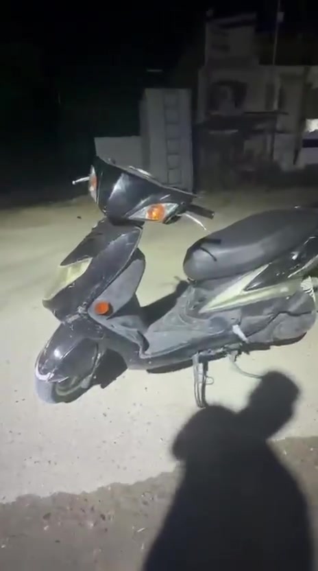 سكنس • فحل • محرك مكفول