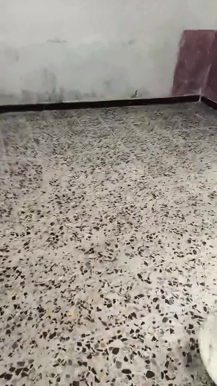 السلام عليكم خلفه لبخ ارضيات ترميم بيوت  متفرغ حالين اشتغل اكباله متر بل يوميه
التواصل خاص او انتصال واتساب ***********

