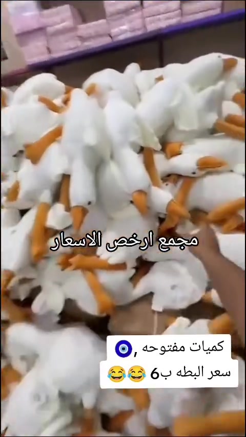 ترند • كميات مفتوحه • ارخص الاسعار